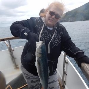 Meet your Posher, Iona